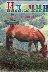 Илячин 8